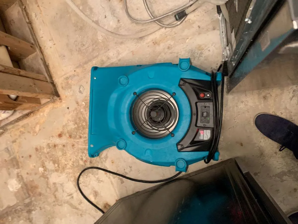 Air mover drying equipment for Mold Remediation & Removal in Vidalia