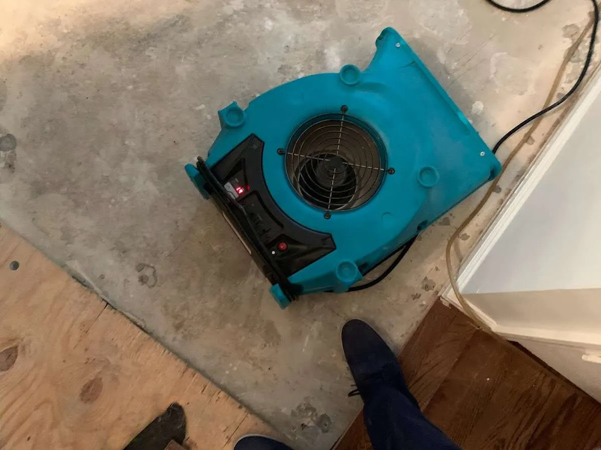 Air mover drying subfloor during Leak Detection & Repair in Vidalia